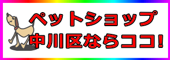 ペットショップ・中川区ならココ！